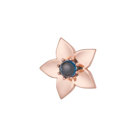 8BR1283TLC BRON Broches