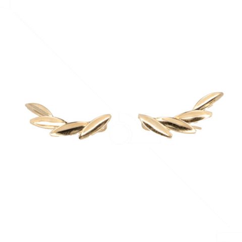 Yeva | Earring 14 Carat Yellow Gold | Leaves