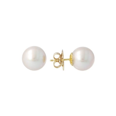 Sundrops | Ear Studs Yellow Gold | Pearl