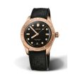 Oris Divers Sixty-Five Steel Bronze Black rubber | 38mm 01 733 7771 3154-07 4 19 18BR