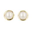 Sundrops | Ear Studs Yellow Gold | Pearl
