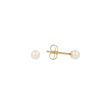 Sundrops | Ear Studs Yellow Gold | Pearl