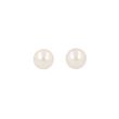 Shima Pearls | Ear Studs White Gold | Pearl