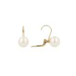 Sundrops | Earrings Yellow Gold | Pearl