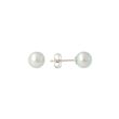 Sundrops | Ear Studs White Gold | Pearl