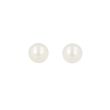 Sundrops | Ear Studs White Gold | Pearl