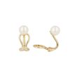 Sundrops | Earclips Yellow Gold | Pearl