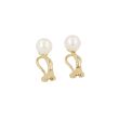 Sundrops | Earclips Yellow Gold | Pearl