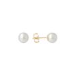 Sundrops | Ear Studs Yellow Gold | Pearl