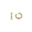 Be | Earrings 14 Carat Yellow gold | Ø12 mm