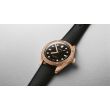 Oris Divers Sixty-Five Steel Bronze Black rubber | 38mm 01 733 7771 3154-07 4 19 18BR