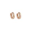 Be | Earrings 14 Carat Pink gold | Ø12 mm