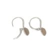 Yeva | 14Carat White gold Earrings | Gray Moonstone