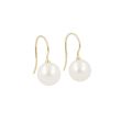 Sundrops | Earrings Yellow Gold | Pearl