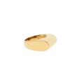 DOT | Ring 18 Carat Yellow Gold | Poli