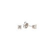 W | Diamond Ear studs White Gold | 0.40ct