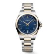 Longines Conquest quartz blue steel/rose PVD | 39mm L3.750.3.98.7