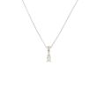 W | Diamond Pendant White Gold | 0.10ct