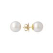 Sundrops | Ear Studs Yellow Gold | Pearl