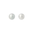 Sundrops | Ear Studs Yellow Gold | Pearl