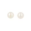 Sundrops | Ear Studs Yellow Gold | Pearl