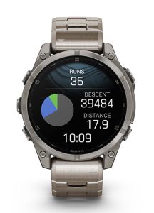 Garmin Fēnix Titanium/Titanium| 47mm 010-02904-40