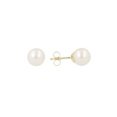 Sundrops | Ear Studs Yellow Gold | Pearl