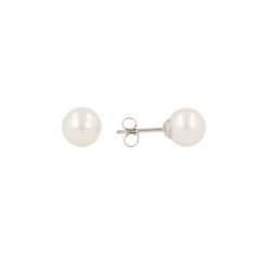 Sundrops | Ear Studs White Gold | Pearl