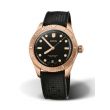 Oris Divers Sixty-Five Steel Bronze  Black rubber | 38mm
01 733 7771 3154-07 4 19 18BR