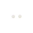 Sundrops | Ear Studs Yellow Gold | Pearl