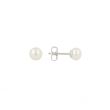 Sundrops | Ear Studs White Gold | Pearl