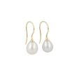 Sundrops | Earrings Yellow Gold | Pearl
