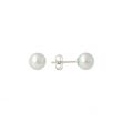 Sundrops | Ear Studs White Gold | Pearl