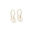 Sundrops | Earrings Yellow Gold | Pearl