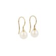 Sundrops | Earrings Yellow Gold | Pearl