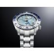 Grand seiko Caliber 9S 25th Anniversary Limited Edition SBGJ275 | 44.2mm