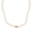 Sundrops | Necklace Pink Gold | Pearl 