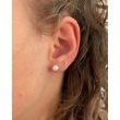 Sundrops | Ear Studs Yellow Gold | Pearl