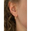 Dot | Pink Gold Earrings | 18 x 9 mm