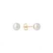 Sundrops | Ear Studs Yellow Gold | Pearl