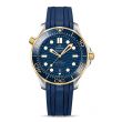 Omega Seamaster Diver 300M Two-Tone Blue | 42mm
210.22.42.20.03.001