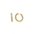 Be | Earrings 14 Carat Yellow gold | Ø16.5 mm