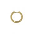 Be | Earrings 14 Carat Yellow gold | Ø16.5 mm