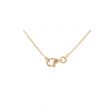 Dot | 14Carat Yellow gold Necklace | Oval