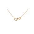 Dot | 14Carat Yellow gold Necklace | Oval