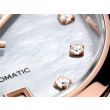 TAG Heuer Carrera MOP Two tone | 29mm WBN2450.BD0569