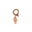 Sundrops | Clip Pink gold | Rose