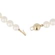 Sundrops | Necklace Yellow Gold | Pearl 