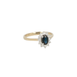 Lux | Entourage Ring Yellow gold 14 Carat | Sapphire