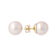 Sundrops | Ear Studs Yellow Gold | Pearl